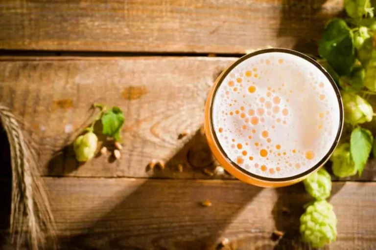 La bière est-elle bonne pour les plantes ? Pourquoi les nourrir avec de la bière ?