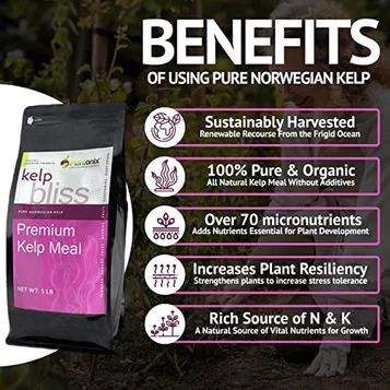 Kelp Bliss - (5 LB) - Pure Norwegian Kelp Meal (0.9-0-2) Sustainable and Natural Soil Amendment-Rich in Nitrogen and Potassium-Encourages Healthy Plant Growth and Increases Fruit and Vegetable Yield