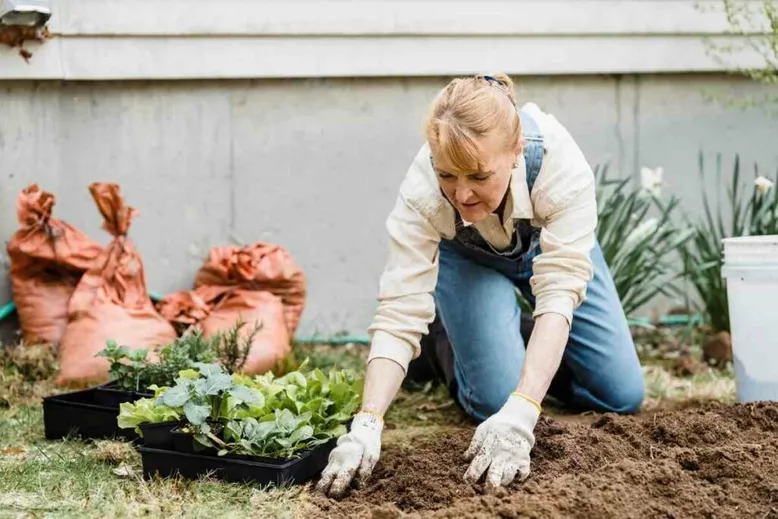 Garden soil mixers explained