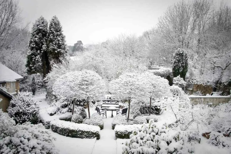 Trees growing slow in winter