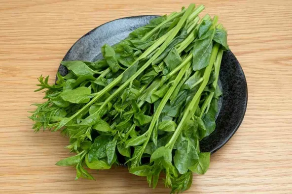 Malabar spinach type