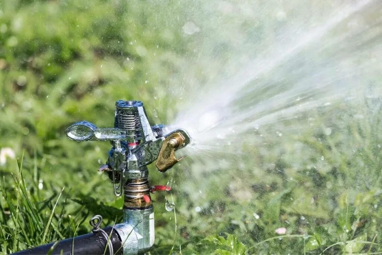 Watering grass seeds in the morning