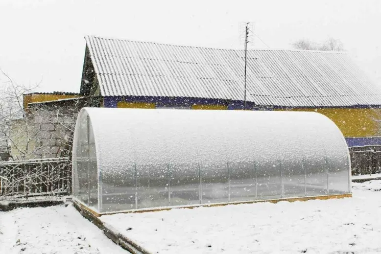 greenhouse winter