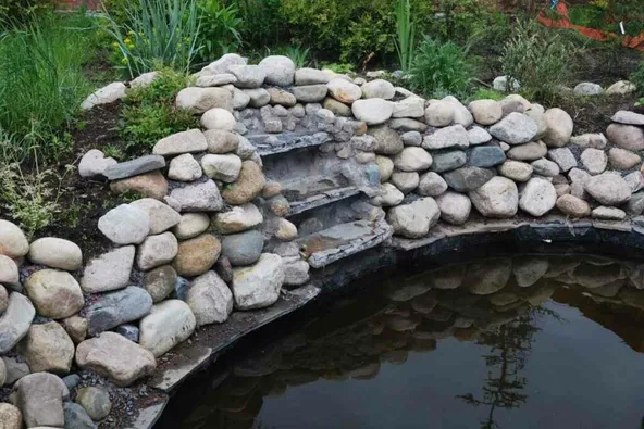 What To Do With An Unused Pond