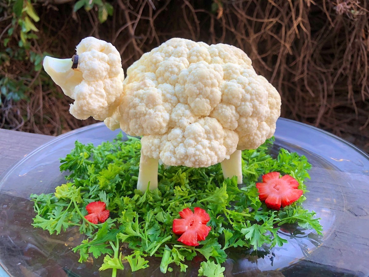 LES MOUTONS PEUVENT-ILS MANGER DU CHOU-FLEUR ?