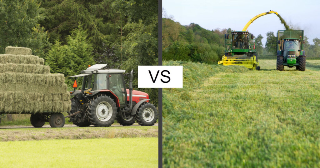 Hay vs Silage