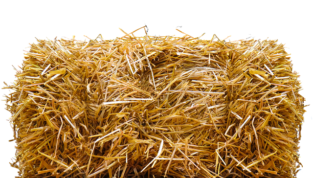 Use Straw for Bedding to Keep Wool Clean